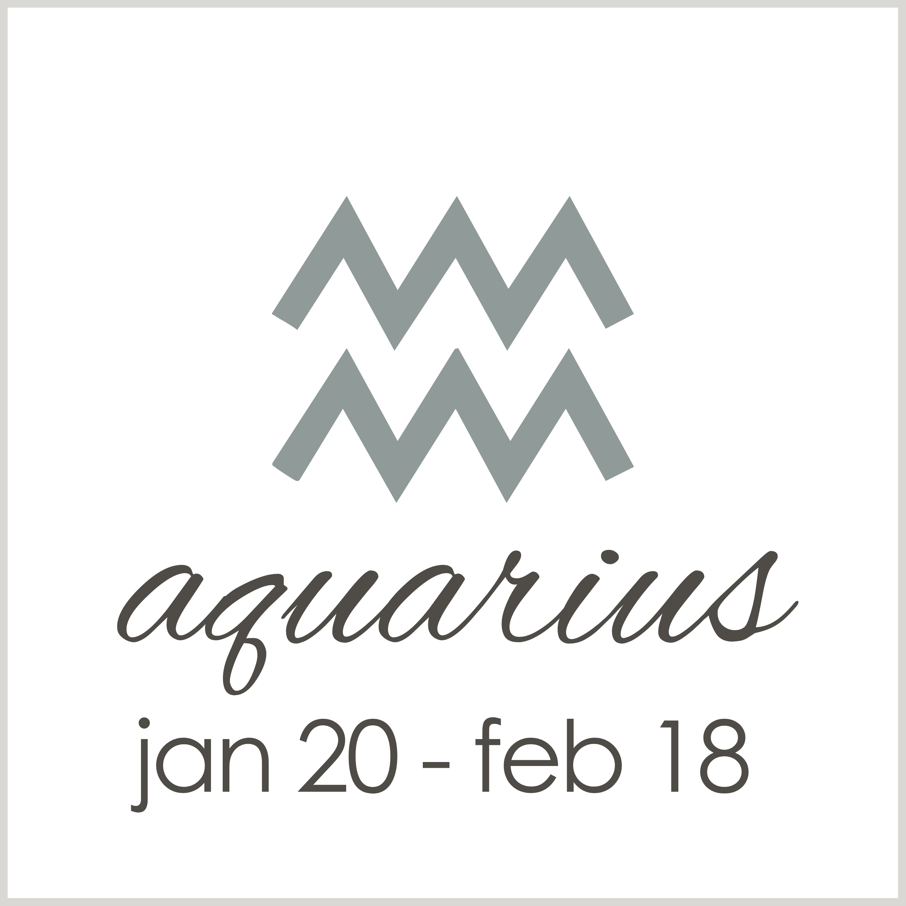 zodiac | Aquarius (jan 20-feb 18)